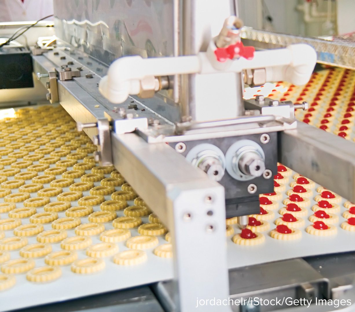 A factory conveyor belt carrying rows of identical tarts through a machine.